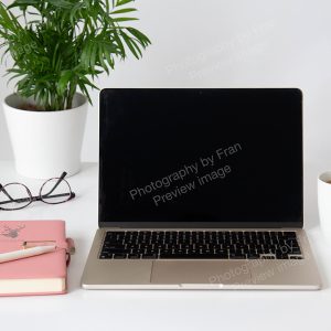 Business stock image preview from Photography by Fran - open laptop on desk with pink notebook & mug