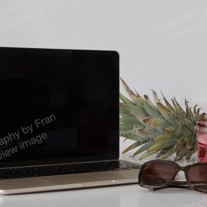 Summer business stock preview image from Photography by Fran - open laptop with pineapple and sunglasses