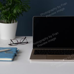 Business stock preview image from Photography by Fran - open laptop on desk with blue notebook and mug
