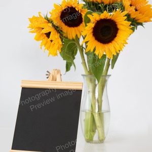 Stock preview image from Photography by Fran - chalkboard with sunflowers on white background