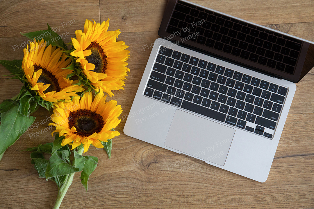 Business stock image preview from Photography by Fran - open laptop with sunflowers from above