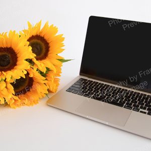 Business stock preview image from Photography by Fran - open laptop with sunflowers on white background