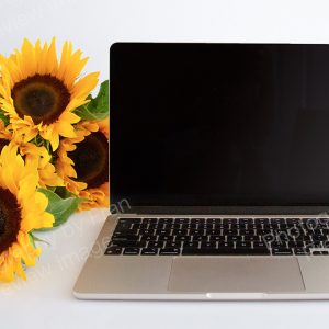 Business stock preview image from Photography by Fran - open laptop with sunflowers on white background